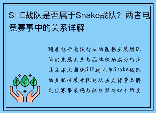 SHE战队是否属于Snake战队？两者电竞赛事中的关系详解