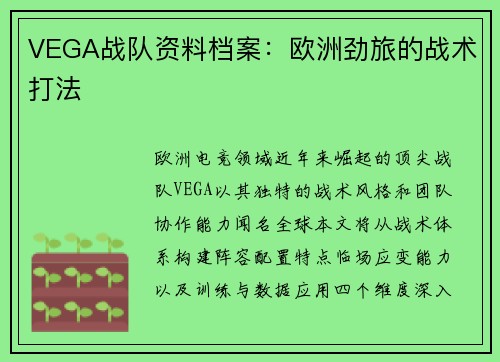 VEGA战队资料档案：欧洲劲旅的战术打法